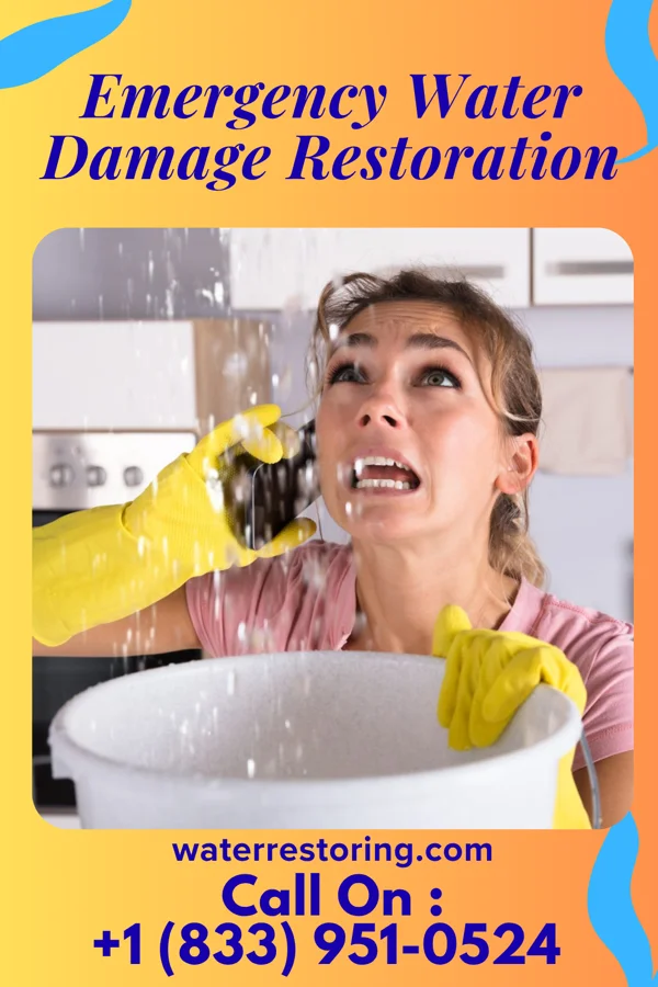 Emergency Water Damage Restoration in Oakwood, IL