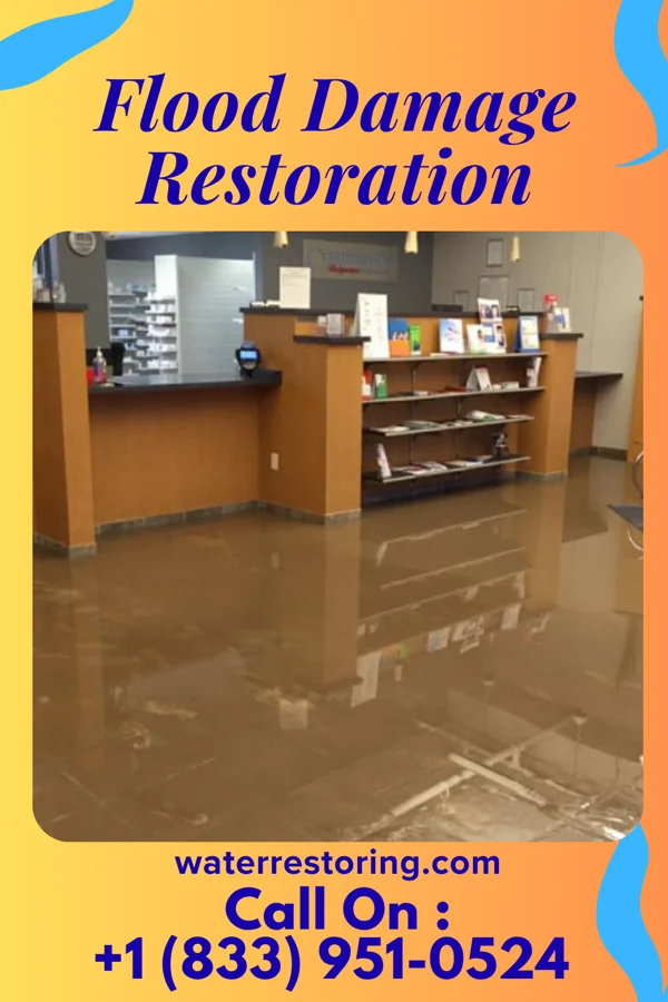 Flood Damage Restoration in Oakwood, IL