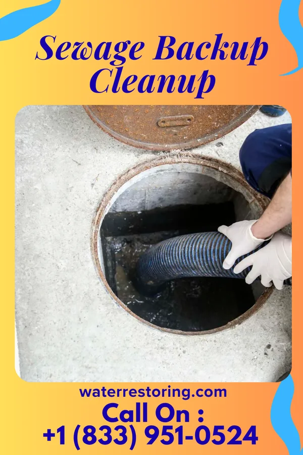 Sewage Backup Cleanup in Oakwood, IL