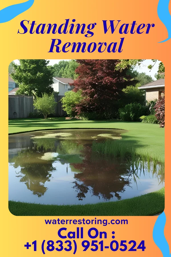 Standing Water Removal in Oakwood, IL